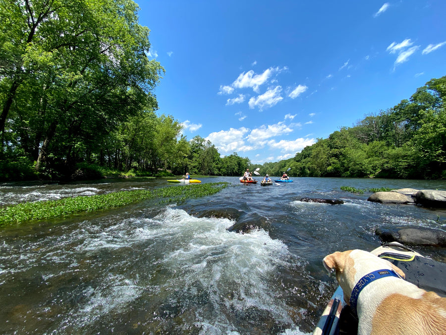 Clydes River Guides & Outfitters Clyde's River Guides & Outfitters